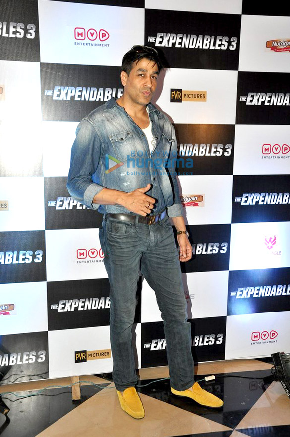 premiere of expendables 3 3