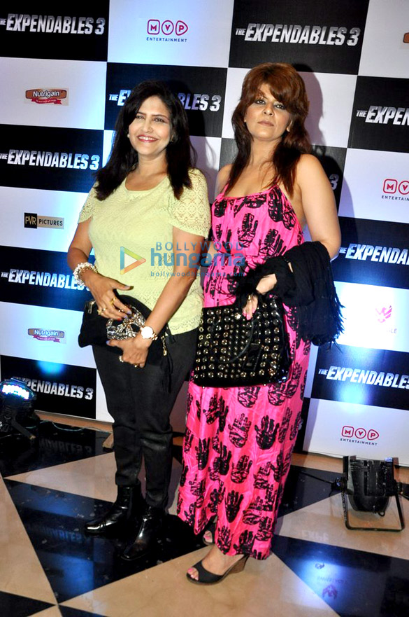 premiere of expendables 3 5