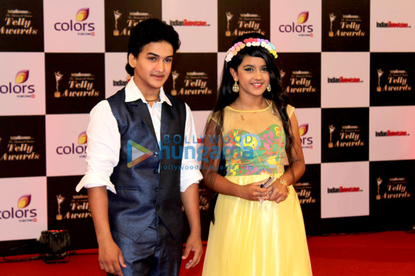 13th indian telly awards 2014 11