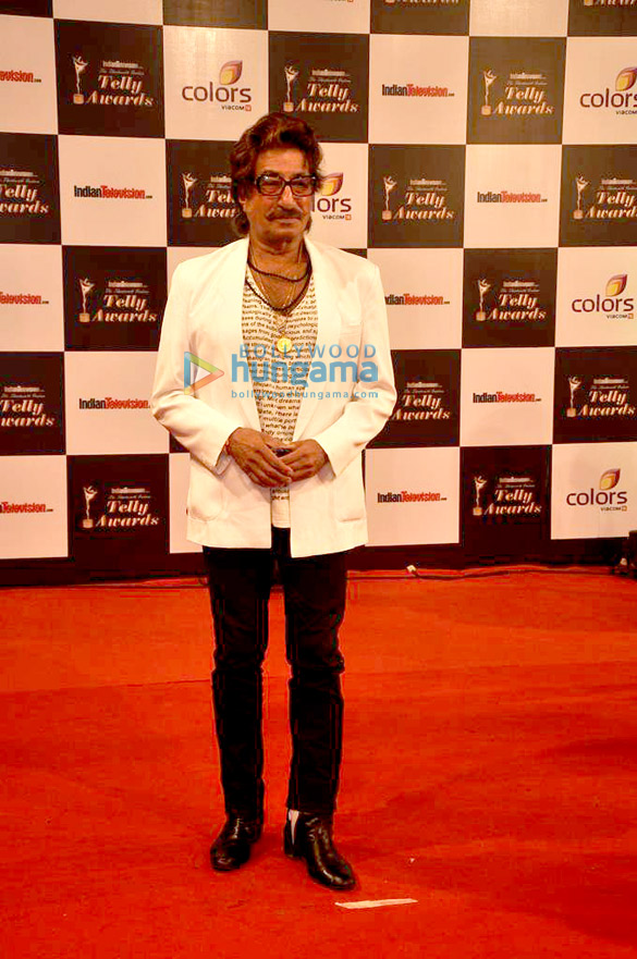 13th indian telly awards 2014 37