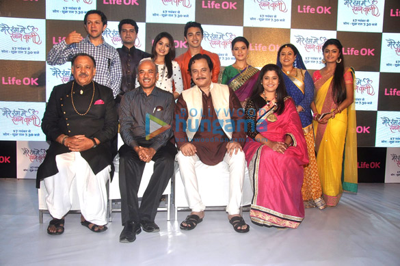 life ok launches new tv serial mere rang mein rangne wali 2