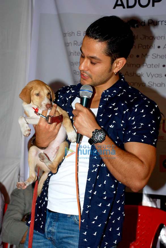 richa chadda kunal khemu ali fazal sandhya mridul at pet adoptathon 2014 7