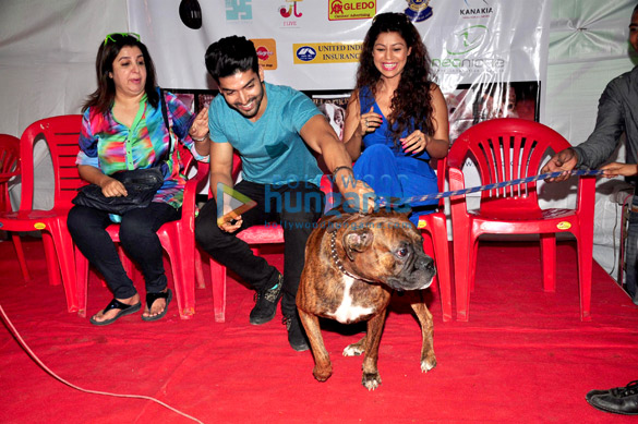 celebs lend support to adoptathon 2014 by wfa 4