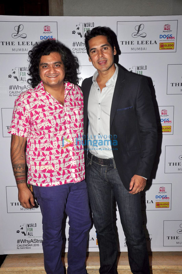 dino morea at shail manes why a stray calendar 2015 launch 3