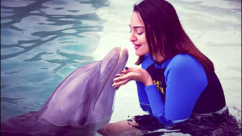 Check out: Sonakshi Sinha turns dolphin whisperer