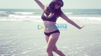 Celebrity Photo Of Evelyn Sharma