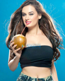 Celebrity Photo Of Evelyn Sharma