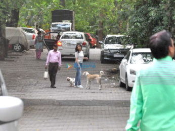 Sophie Choudry snapped taking her dog out for a walk