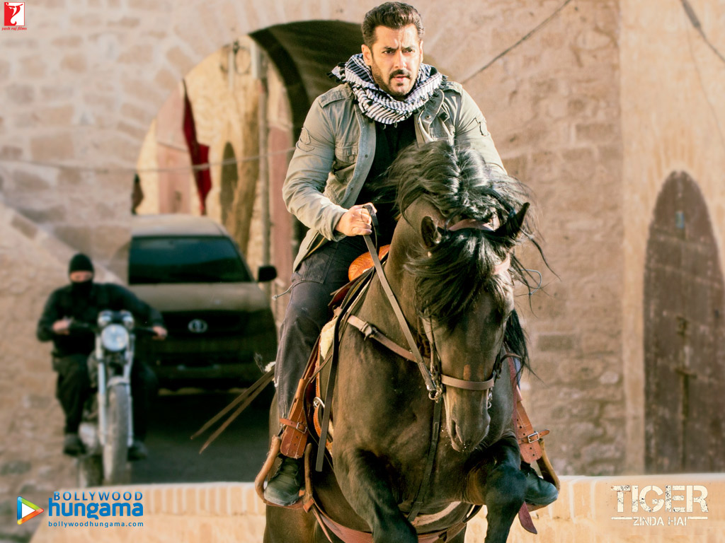 Tiger Zinda Hai