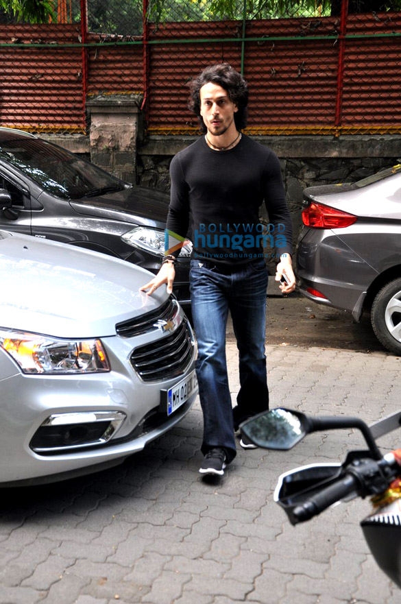 tiger snapped entering excel entertainment office 2