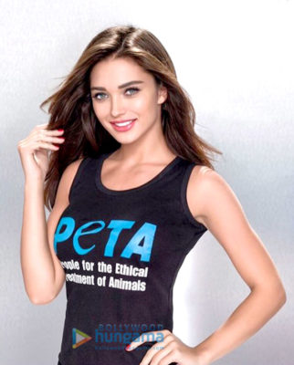 Celebrity Photos Of The Amy Jackson