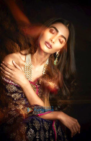 Celebrity Photo Of Pooja Hegde