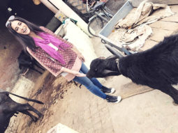 Check out: Nargis Fakhri explores Chandigarh during shoot break