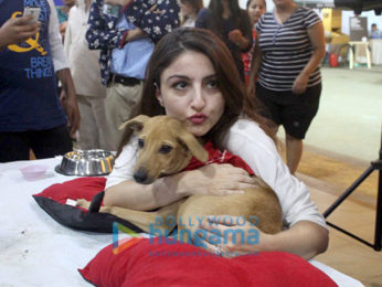 Alia Bhatt, Saif Ali Khan, Soha Ali Khan and Kunal Khemu at Adoptathon 2016