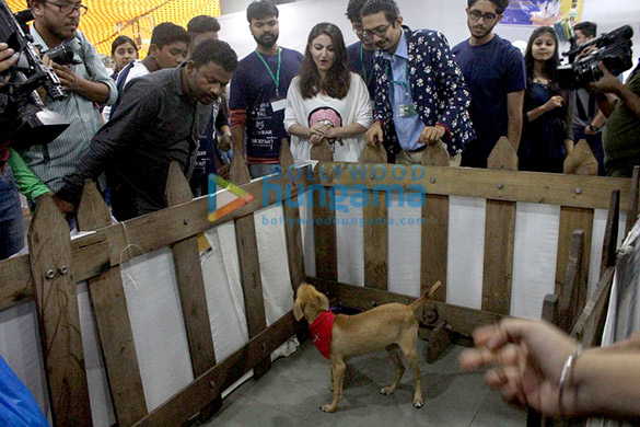alia saif soha and kunal at adoptathon 2016 6