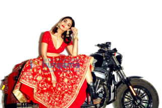 Celebrity Photo Of Ileana DCruz