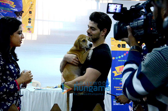 sooraj farah grace adoptathon 2016 5