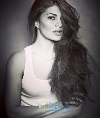 Celebrity Photos Of The Jacqueline Fernandez
