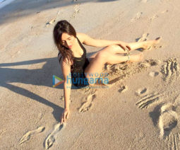 Celebrity Photo Of Neha Sharma