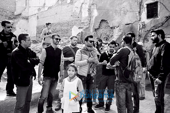 tigerzindahai 1