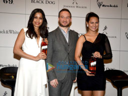 Freida Pinto celebrates #LoveScotch during ‘International Scotch Day’
