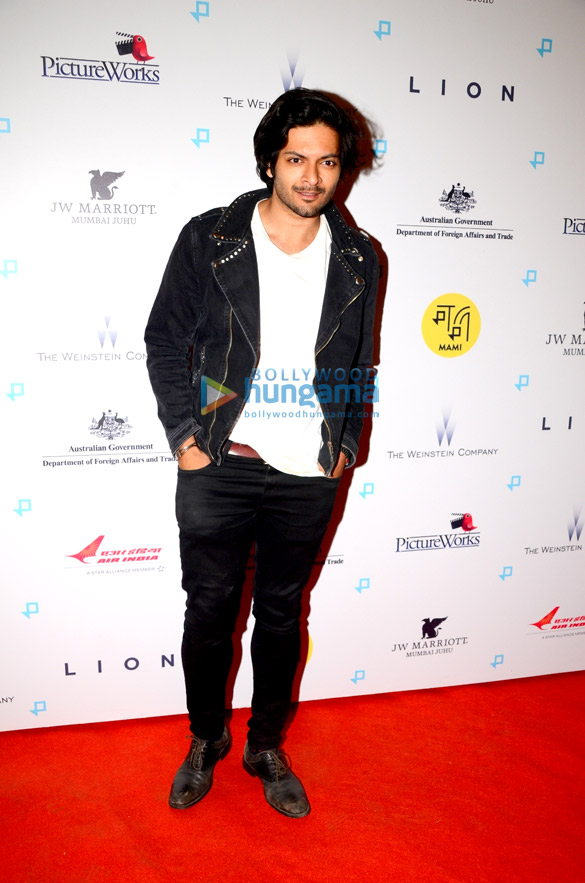premiere of lion1 4
