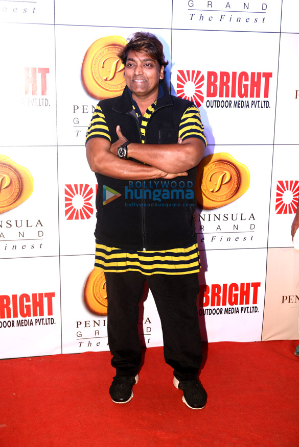 ranbir kappor hrithik roshan yuvraj singh and others grace the bright awards 2017 24