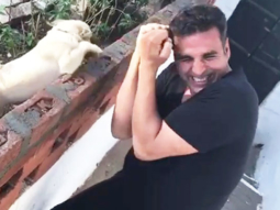Akshay Kumar Boxing With Pugs Is The CUTEST Thing You’ll See On The Net Today