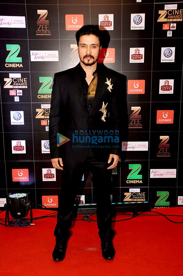 celebs grace zee cine awards 2017 32