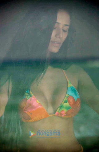 Celebrity Photos of Poonam Pandey