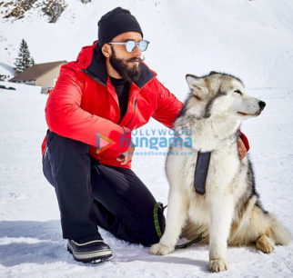 Celebrity Photos of Ranveer Singh