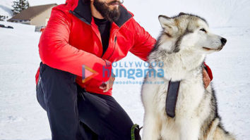 Celebrity Photos of Ranveer Singh