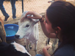 Anushka Sharma spends time with the ones she love – animals and she is loving it!