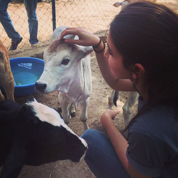 Anushka Sharma spends time with the ones she love - animals and she is loving it!