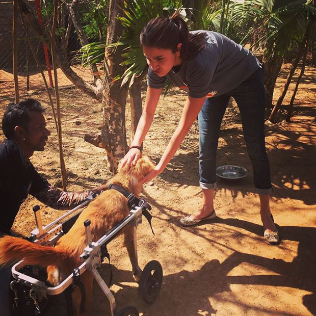 Anushka Sharma spends time with the ones she love - animals and she is loving it!