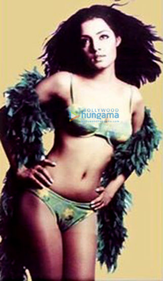 Celebrity Photos of Celina Jaitly