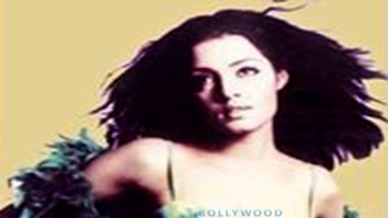 Celebrity Photos of Celina Jaitly