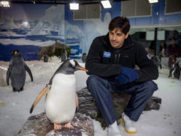 Check out: Sidharth Malhotra celebrates World Penguin Day with his bud and it is just adorable