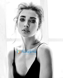 Celebrity Photo Of Amy Jackson