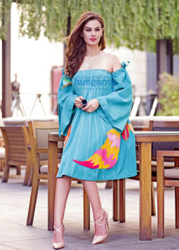 Celebrity Photo Of Evelyn Sharma