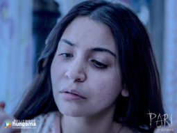 Movie Wallpapers Of The Movie Pari