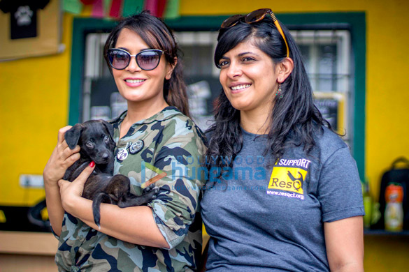 richa chadda spends the day with resq animals 1