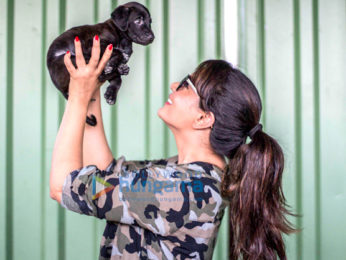 Richa Chadha spends the day at the ResQ Animals shelter