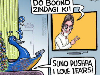 Bollywood Toons: Amitabh Bachchan inspires peacocks! Bollywood Toons: Amitabh Bachchan inspires peacocks!