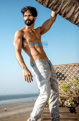 Celebrity Photos of Shahid Kapoor
