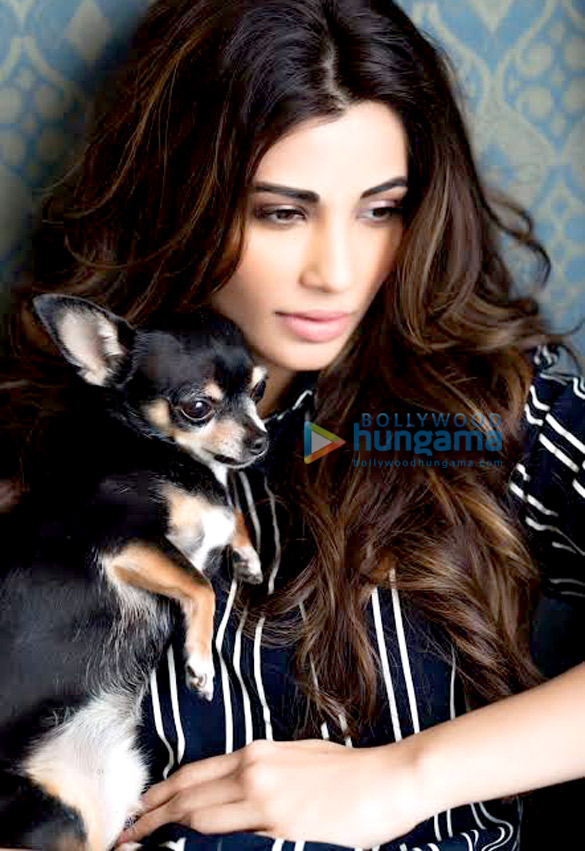 daisy shah 11 3