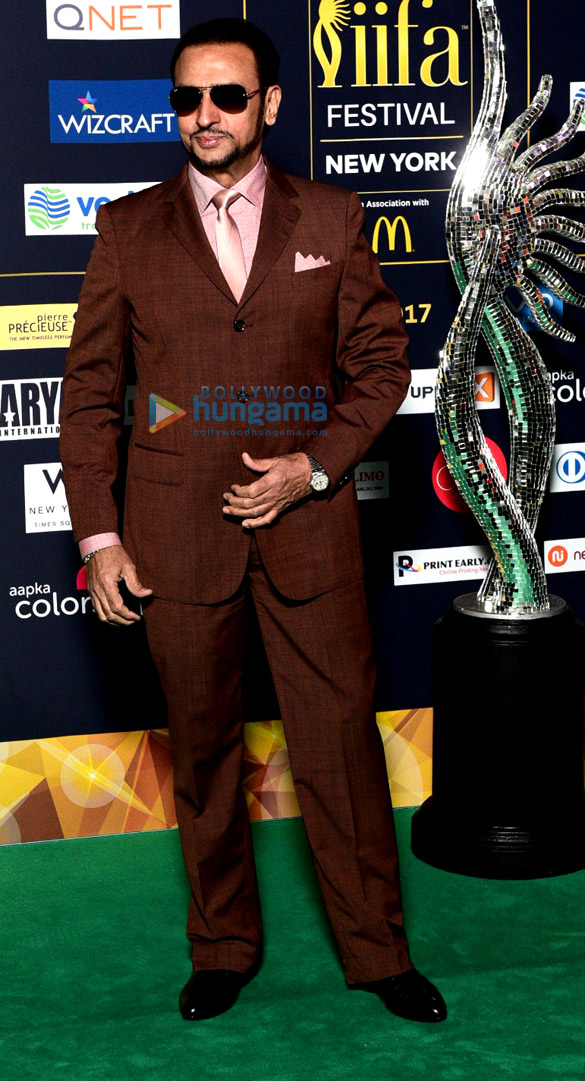 celebs at the iifa green carpet 15