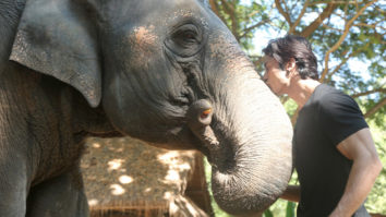 Movie Wallpapers Of Junglee