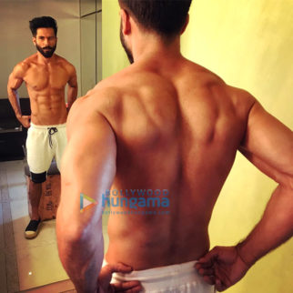 Celebrity Photo Of Shahid Kapoor