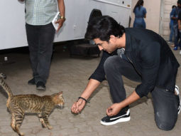 CUTE! Sushant Singh Rajput spotted playing with a lovely, stray cat